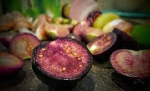 Organic Heirloom Purple Tomatillo Seeds Rare, additional product view 2