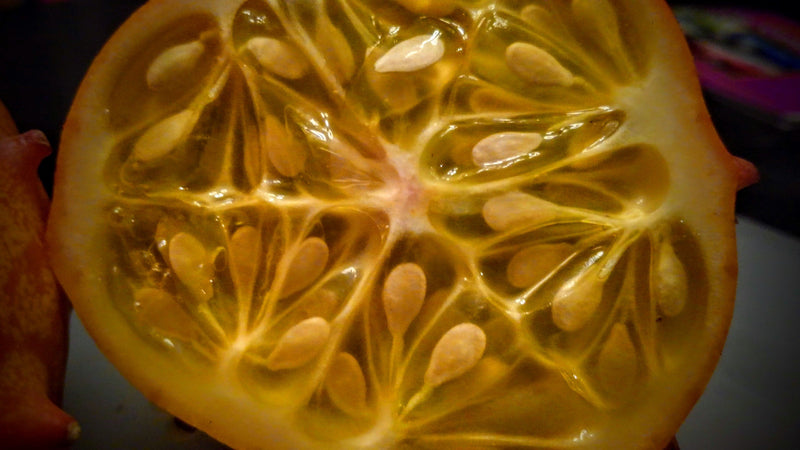 Load image into Gallery viewer, Organic Heirloom Horned Melon Seeds (Cucumis metuliferus, Kiwano, Jelly Melon, African Horned Cucumber.) Seeds Rare
