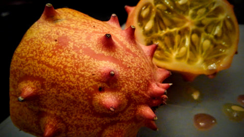 Organic Heirloom Horned Melon Kiwano seeds package, GrowTime Garden Supply