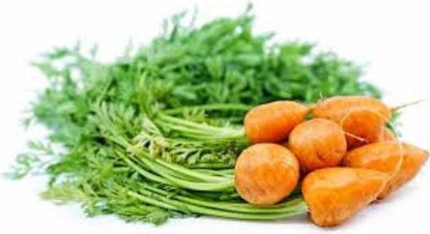 Heirloom Organic Rare Parisian Round Carrot seeds package, GrowTime Garden Supply