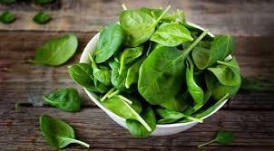 Load image into Gallery viewer, Heirloom Organic Whale Spinach Seeds
