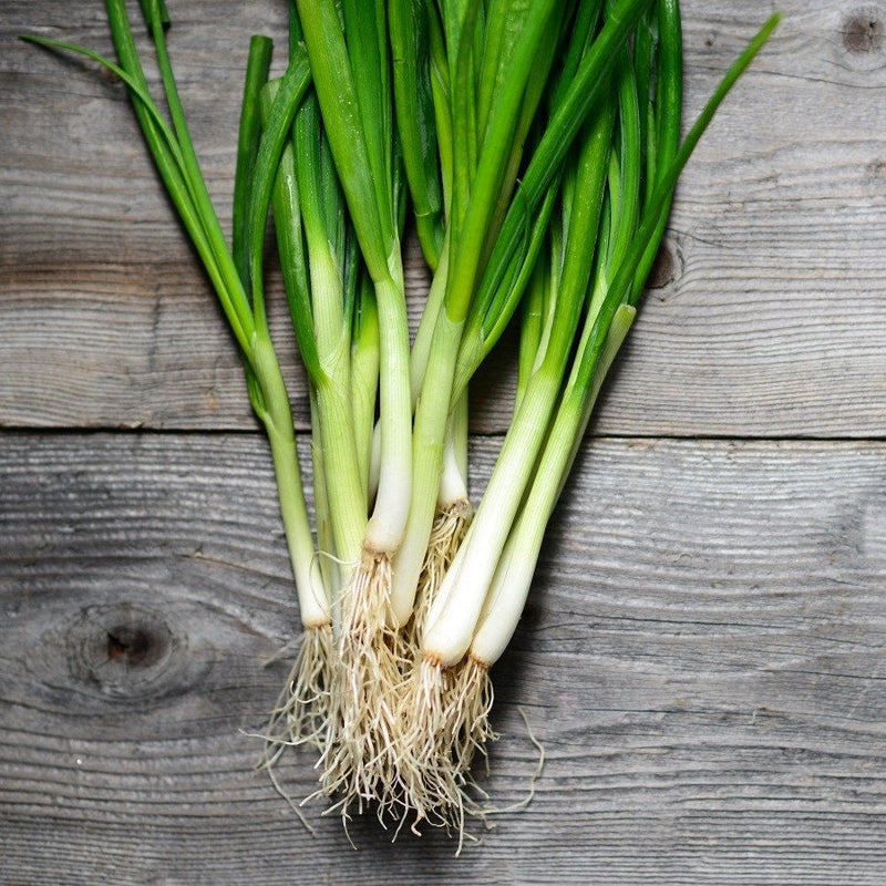 Load image into Gallery viewer, Heirloom Organic Tokyo Long White Onion Seeds
