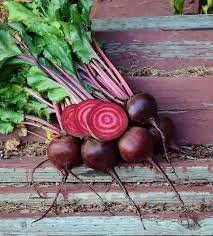 Load image into Gallery viewer, Heirloom Organic Chioggia Guardsmark Beet Seeds (Aka Bullseye Beet)
