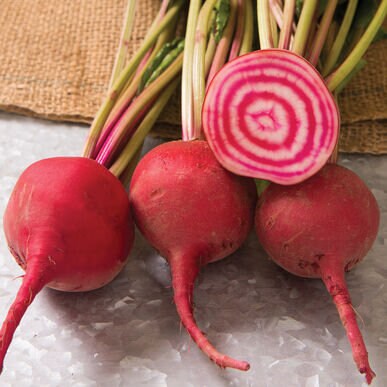 Load image into Gallery viewer, Heirloom Organic Chioggia Guardsmark Beet Seeds (Aka Bullseye Beet)
