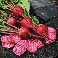 Load image into Gallery viewer, Heirloom Organic Chioggia Guardsmark Beet Seeds (Aka Bullseye Beet)
