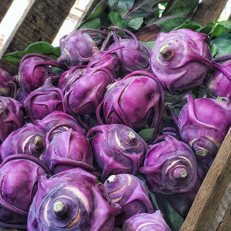 Load image into Gallery viewer, Heirloom Organic Azur Star Kohlrabi Seeds
