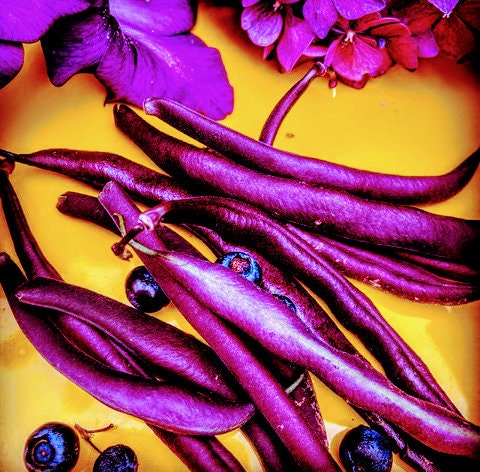 Heirloom Organic Pinkeye Purple Hull Cow Pea seeds package, GrowTime Garden Supply