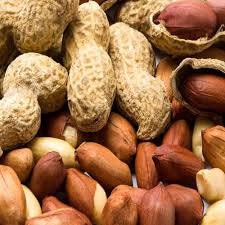 Heirloom Organic Raw Spanish Peanut Seeds, additional product view 2