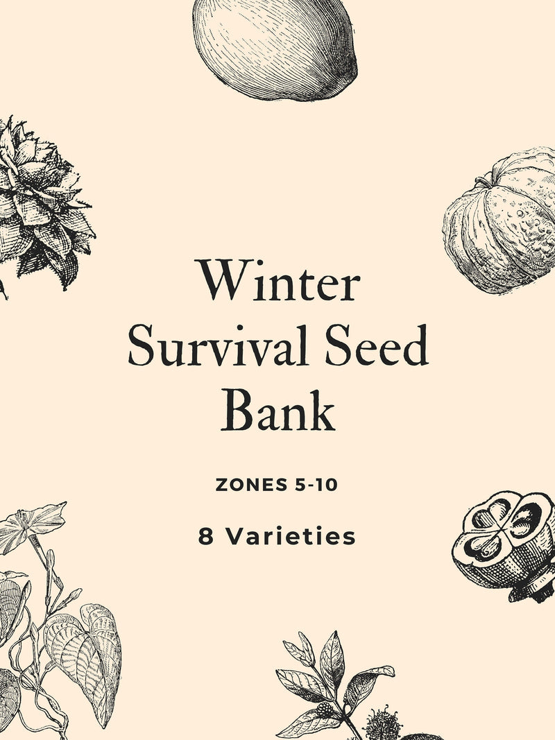 Load image into Gallery viewer, Organic Winter Survival Seed Bank
