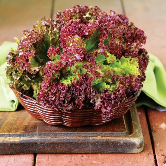 Load image into Gallery viewer, Heirloom Organic New Red Fire Lettuce Seeds
