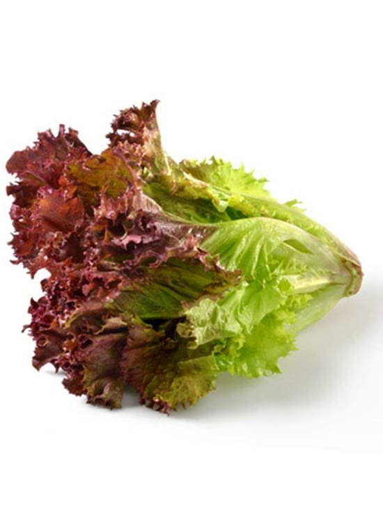 Load image into Gallery viewer, Heirloom Organic New Red Fire Lettuce Seeds
