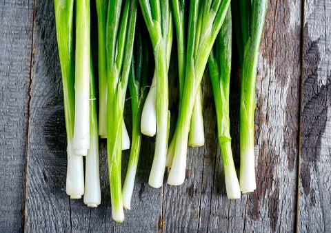 Heirloom Organic Tokyo Long White Onion Seeds, additional product view 2