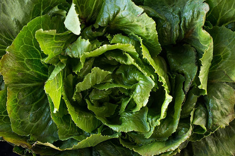Heirloom Organic Morris Heading Collard seeds package, GrowTime Garden Supply