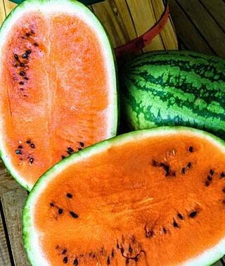 Organic Heirloom Orange Tendersweet Watermelon seeds package, GrowTime Garden Supply