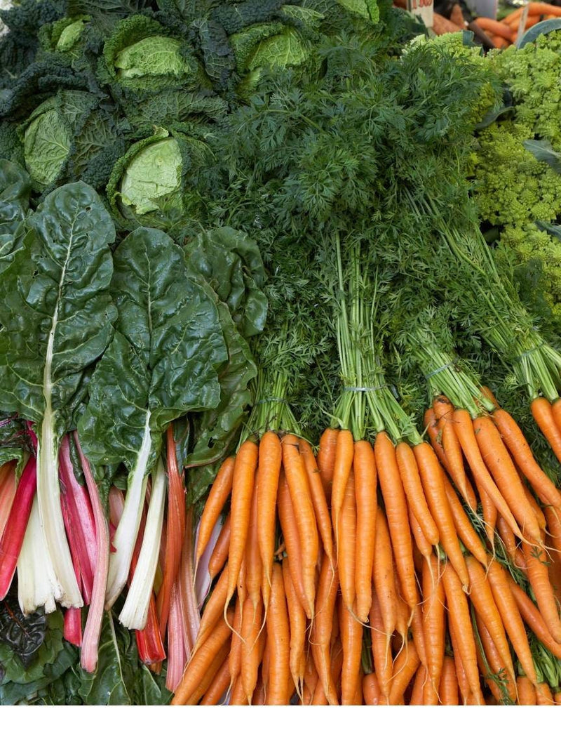 Load image into Gallery viewer, Organic Winter Survival Seed Bank
