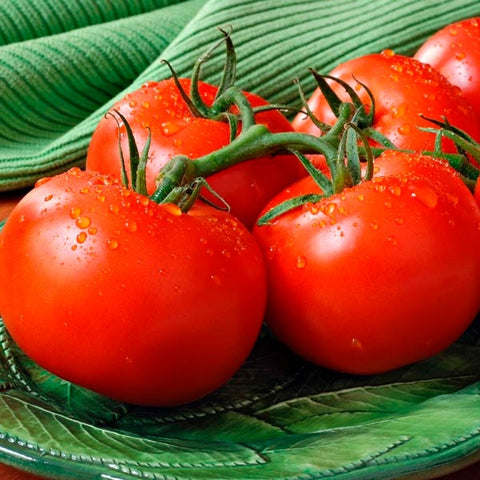 Organic Early Girl Tomato Seeds Pelleted, additional product view 2