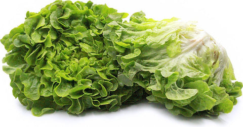 Heirloom Organic Royal Oakleaf Lettuce seeds package, GrowTime Garden Supply