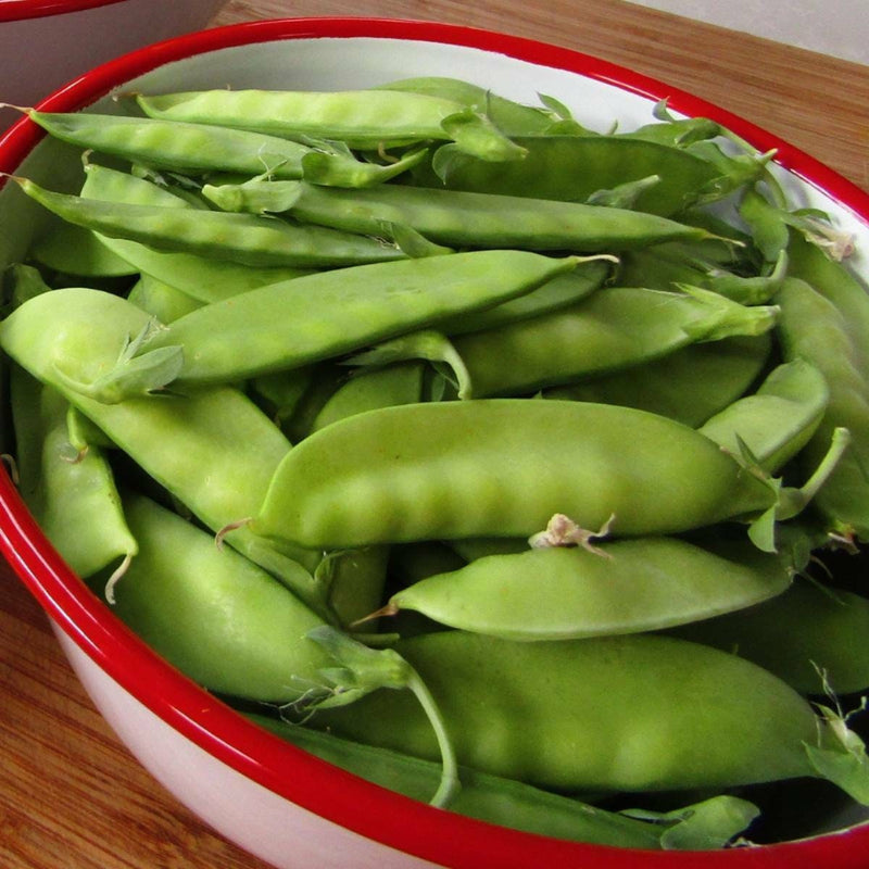 Load image into Gallery viewer, Heirloom Organic Mammoth Melting Snow Pea Seeds
