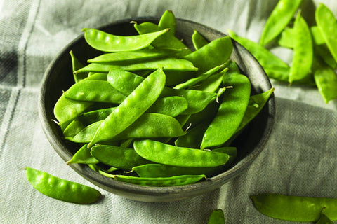 Heirloom Organic Mammoth Melting Snow Pea seeds package, GrowTime Garden Supply