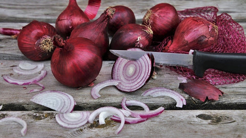 Heirloom Organic Red Creole Onion seeds package, GrowTime Garden Supply