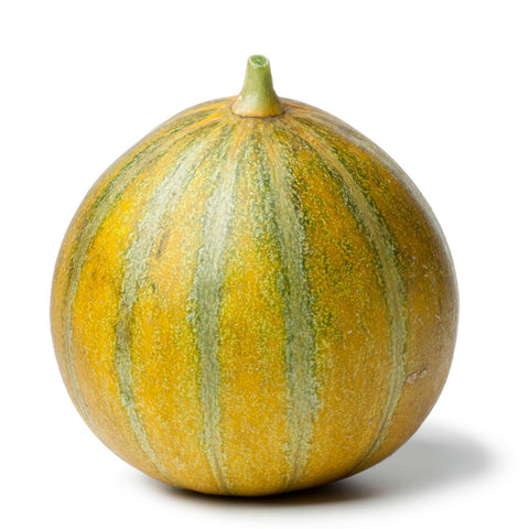 Ha-Ogen Muskmelon seeds package, GrowTime Garden Supply