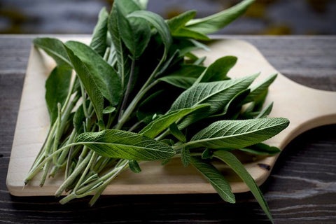 Heirloom Organic Sage Seeds Aka Salvia Officinalis Medicinal Herbs, Garden Sage, Smudging, Green Sage, Common Sage, Smudge sticks, additional product…