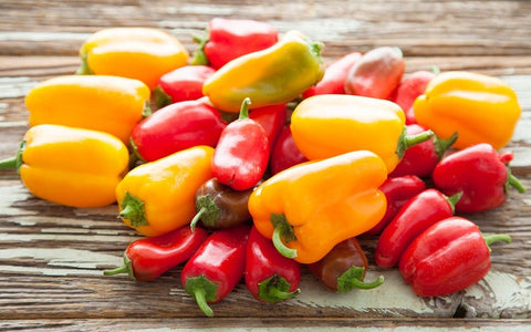 Heirloom Organic Mix Lunchbox Pepper seeds package, GrowTime Garden Supply