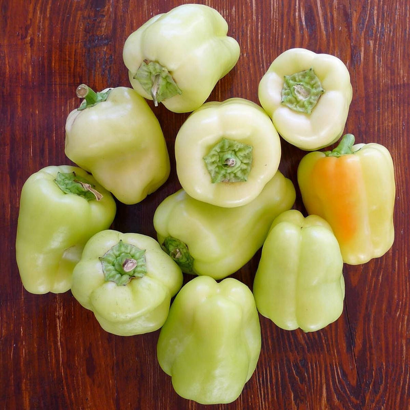 Load image into Gallery viewer, Heirloom Organic White Bell Pepper Seeds
