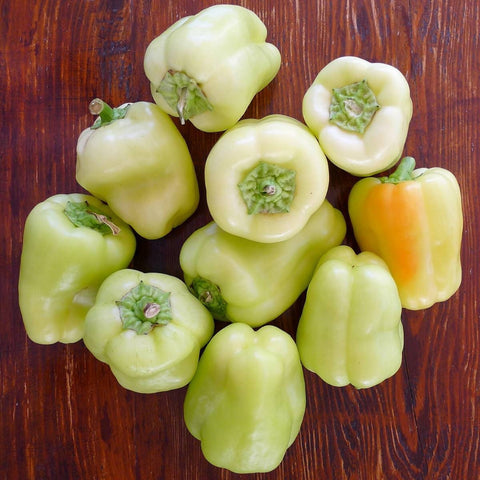 Heirloom Organic White Bell Pepper Seeds, additional product view 2
