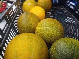 Rare Heirloom Organic Collective Farm Woman Melon seeds package, GrowTime Garden Supply