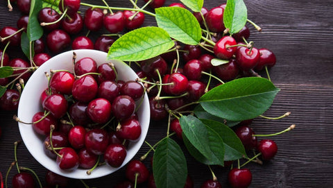 Organic Bing Cherry Tree seeds package, GrowTime Garden Supply