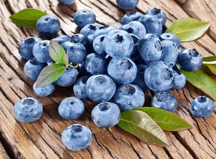 Load image into Gallery viewer, Organic Heirloom Blueberry Bush - Seeds Perfect for potting for urban gardening or apartment plants!
