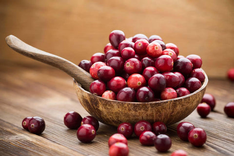 Heirloom Organic Cranberry Bush seeds package, GrowTime Garden Supply