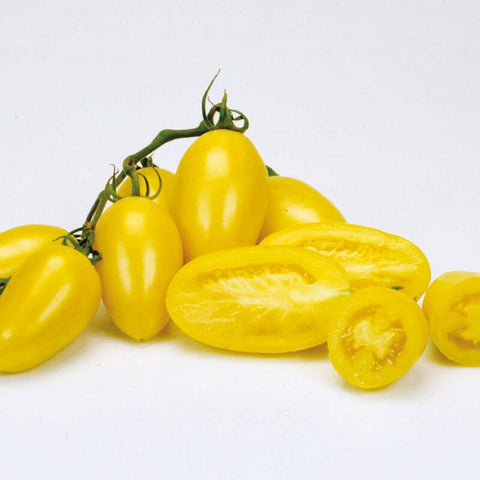 Rare Heirloom Organic Cream Sausage Tomato Seeds, additional product view 2
