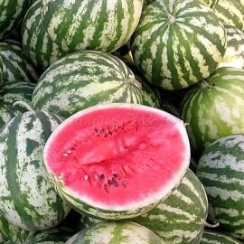 Heirloom Organic Ukraine Astrakhan Watermelon seeds package, GrowTime Garden Supply