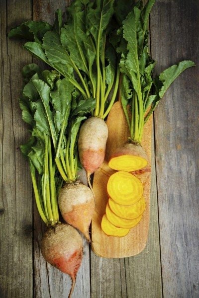 Heirloom Organic Detroit Gold Beet Seeds, additional product view 2