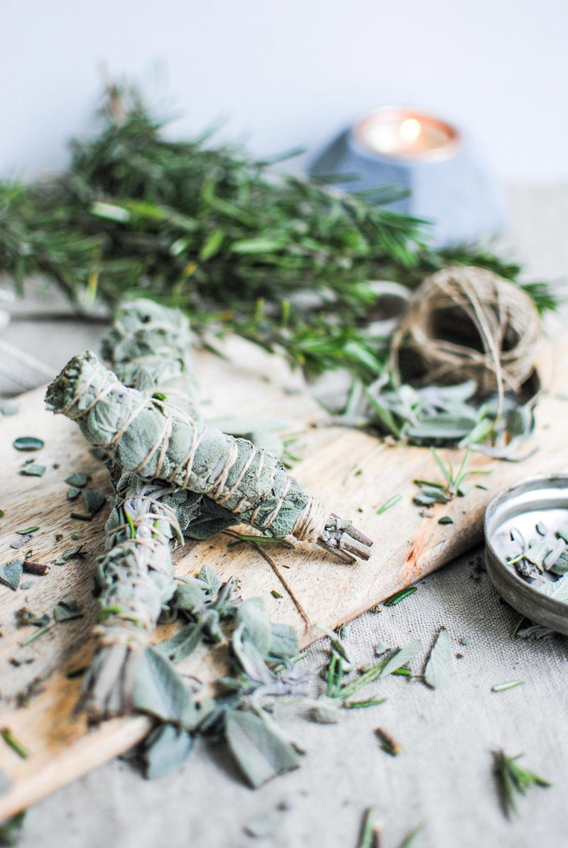 Load image into Gallery viewer, Heirloom Organic Sage Seeds  Aka Salvia Officinalis Medicinal Herbs, Garden Sage, Smudging, Green Sage, Common Sage, Smudge sticks
