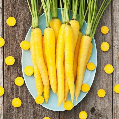 Heirloom Organic Solar Yellow Carrot seeds package, GrowTime Garden Supply