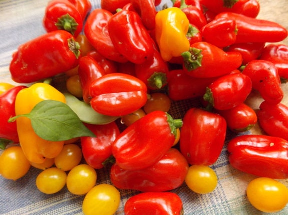 Load image into Gallery viewer, Heirloom Organic Mix Lunchbox Pepper Seeds
