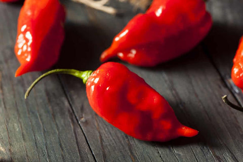 Ghost Pepper seeds package, Bhut Jolokia, GrowTime Garden Supply