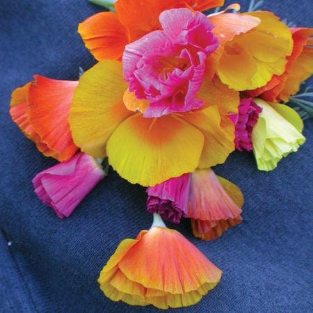 Heirloom Organic Mission Bells Poppy Seeds, additional product view 2