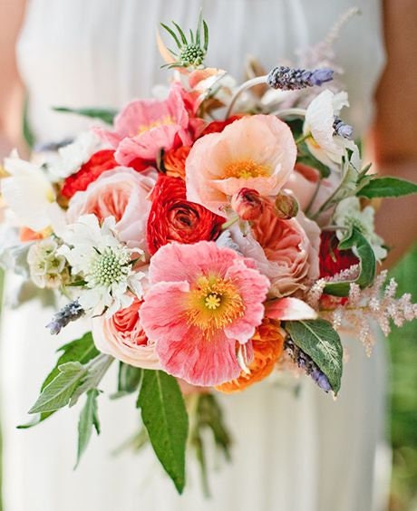 Heirloom Mix Shirley Poppy Seeds, additional product view 2
