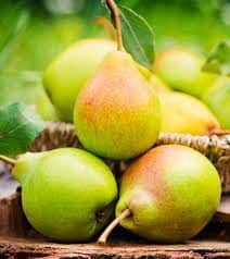 Heirloom Organic Bartlett Pear Tree seeds package, GrowTime Garden Supply