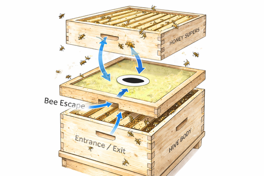 Hoover Hives Wax-Coated 10-Frame Langstroth Inner Cover