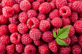 Organic Heirloom Raspberry Bush seeds package, GrowTime Garden Supply