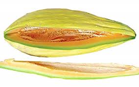 Organic Banana Melon Cantaloupe seeds package, GrowTime Garden Supply