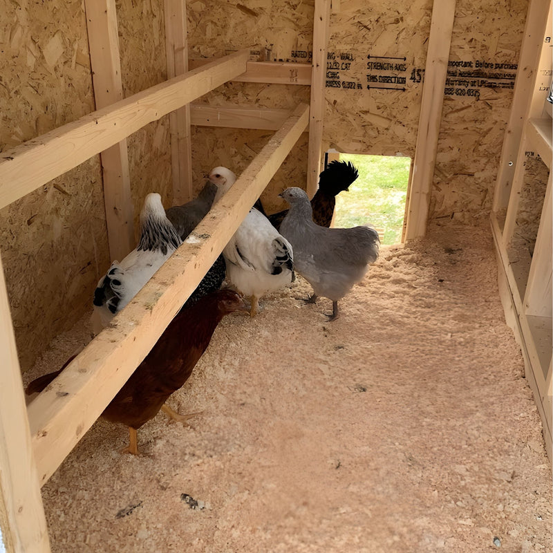 Load image into Gallery viewer, Medium Chicken Coop - Up to 10 Chickens
