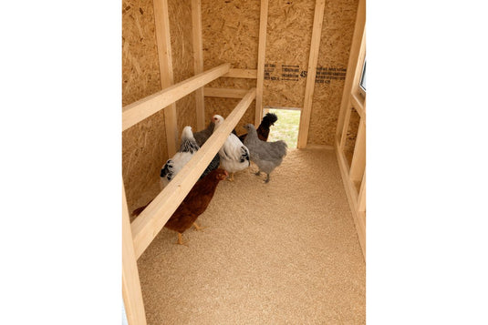 Large Chicken Coop - Up to 15 Chickens