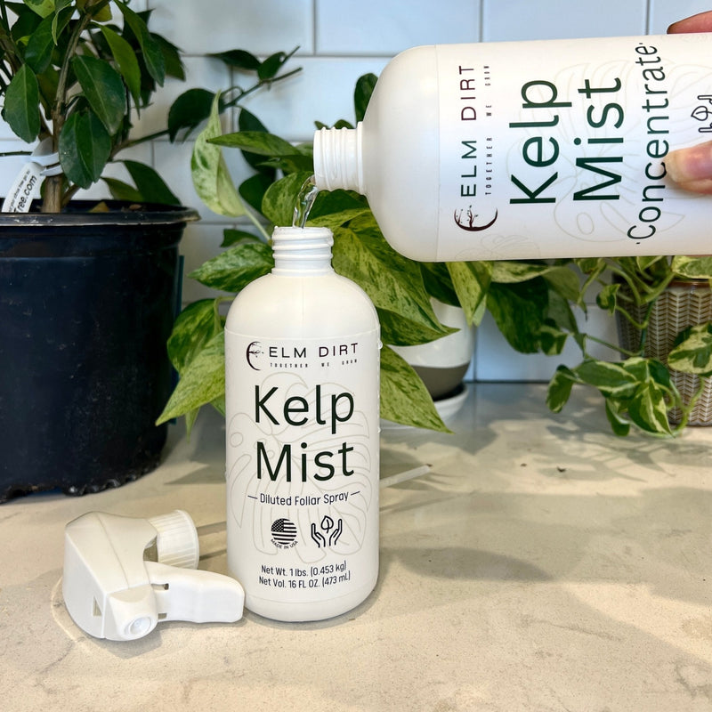 Load image into Gallery viewer, Kelp Mist Foliar Spray
