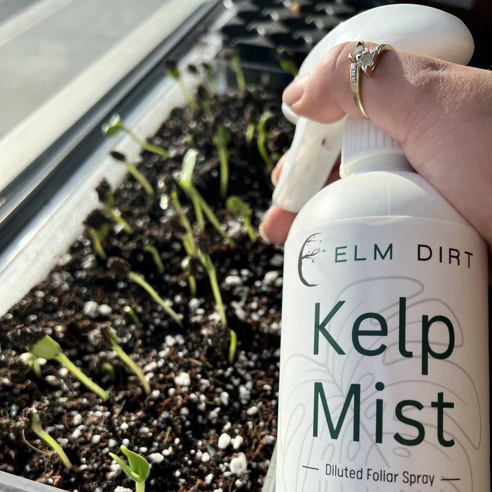 Load image into Gallery viewer, Kelp Mist Foliar Spray
